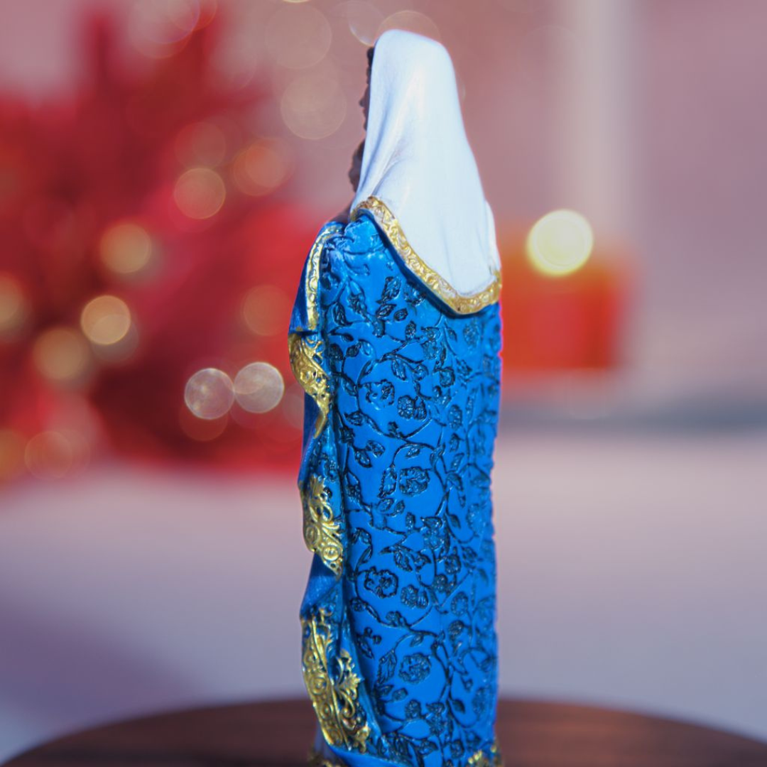 Combo Virgencita de la salud de Lujo
